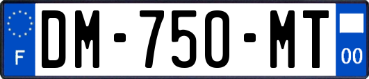 DM-750-MT