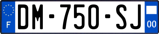 DM-750-SJ