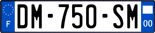 DM-750-SM