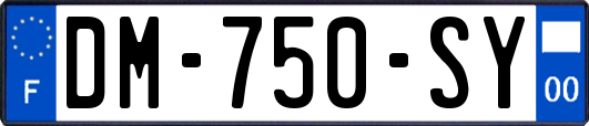 DM-750-SY