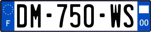 DM-750-WS