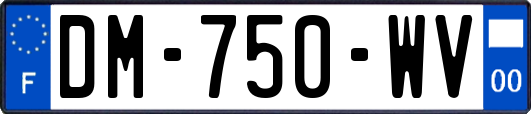 DM-750-WV