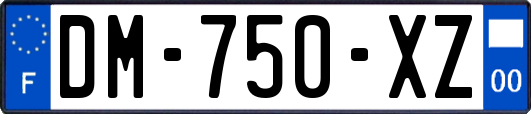 DM-750-XZ