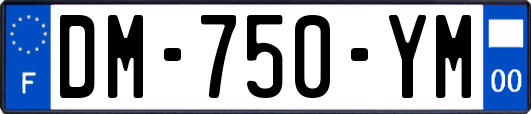 DM-750-YM