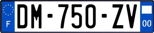 DM-750-ZV