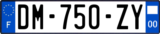 DM-750-ZY