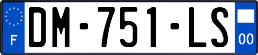 DM-751-LS