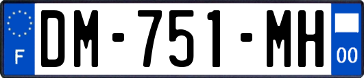 DM-751-MH