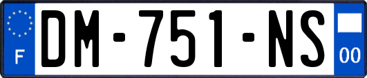 DM-751-NS
