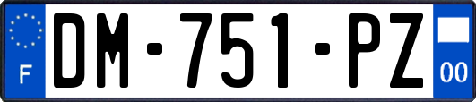 DM-751-PZ