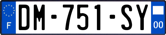 DM-751-SY