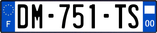 DM-751-TS
