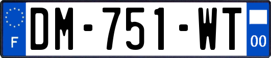 DM-751-WT