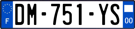 DM-751-YS