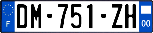 DM-751-ZH