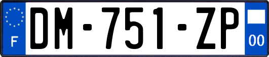 DM-751-ZP