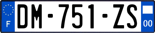 DM-751-ZS