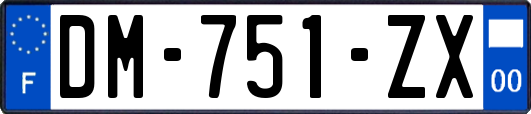 DM-751-ZX