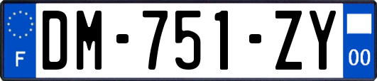 DM-751-ZY