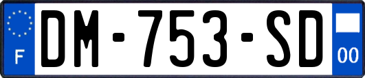 DM-753-SD