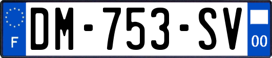 DM-753-SV