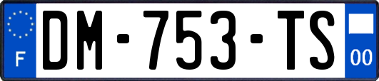 DM-753-TS