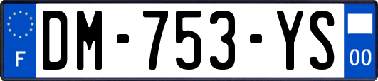 DM-753-YS