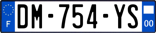 DM-754-YS