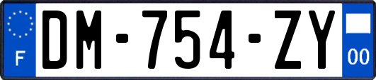 DM-754-ZY