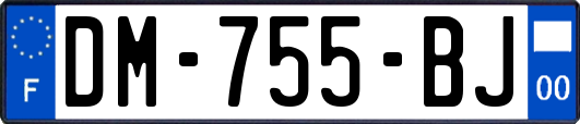 DM-755-BJ