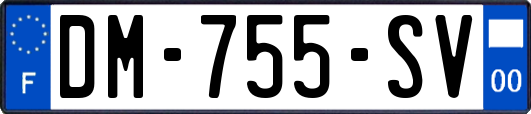 DM-755-SV