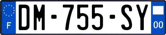 DM-755-SY