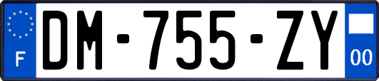 DM-755-ZY