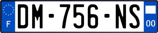 DM-756-NS