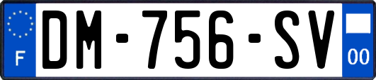 DM-756-SV