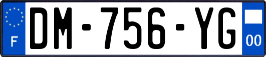 DM-756-YG