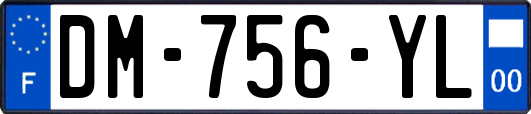 DM-756-YL