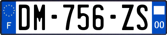 DM-756-ZS