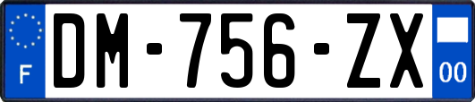 DM-756-ZX