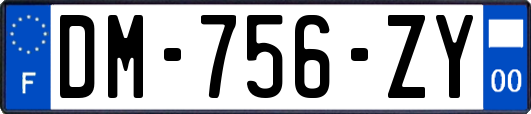 DM-756-ZY