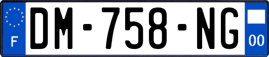 DM-758-NG