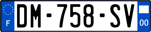 DM-758-SV