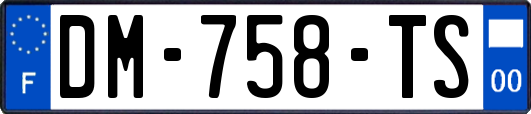 DM-758-TS