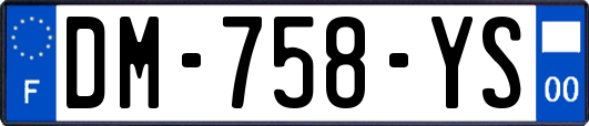 DM-758-YS