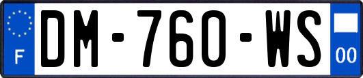 DM-760-WS