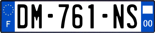 DM-761-NS