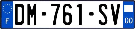 DM-761-SV