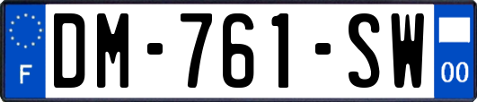 DM-761-SW