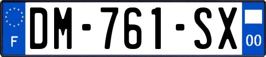 DM-761-SX