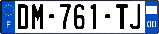 DM-761-TJ
